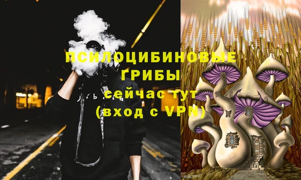 ГАЛЛЮЦИНОГЕННЫЕ ГРИБЫ Надым