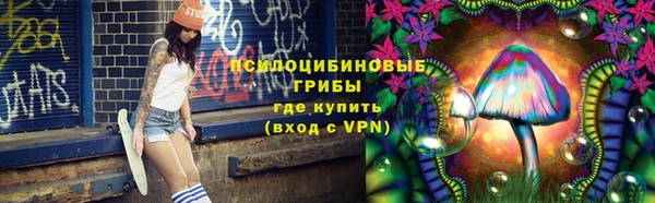 ГАЛЛЮЦИНОГЕННЫЕ ГРИБЫ Надым