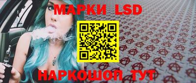 гидра Заводоуковск