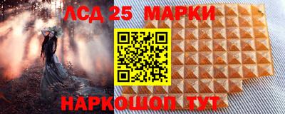 гидра Заводоуковск