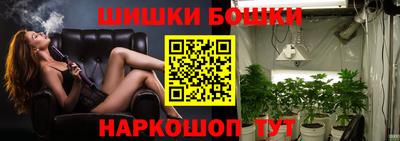 гидра Заводоуковск