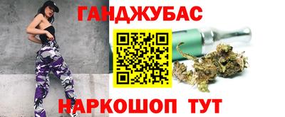 гидра Заводоуковск