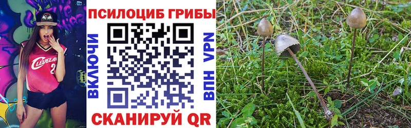 кракен рабочий сайт  Сыктывкар  Галлюциногенные грибы мицелий 