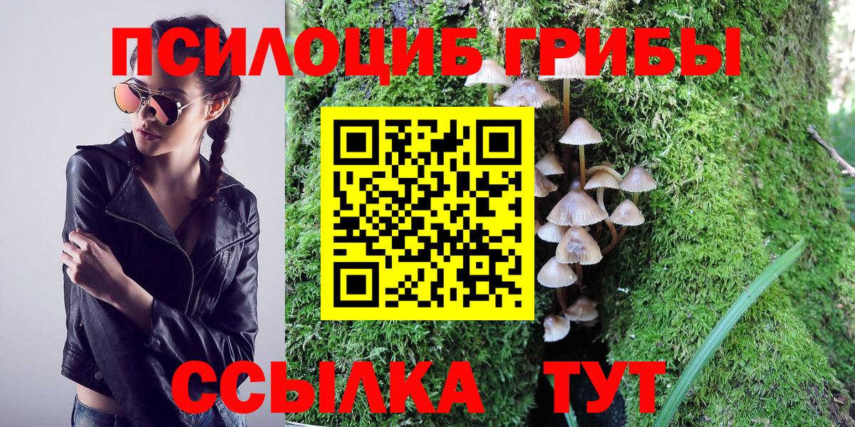Галлюциногенные грибы MAGIC MUSHROOMS Сыктывкар