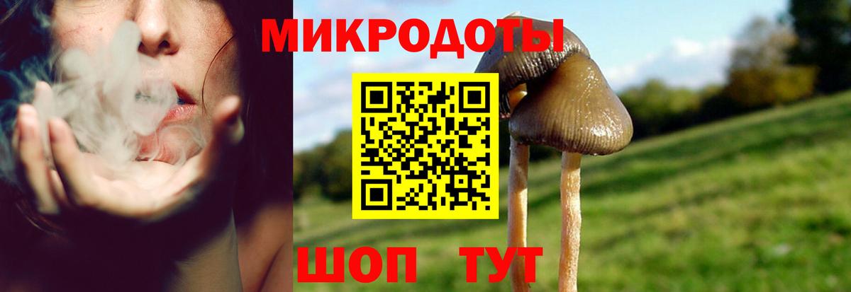 Псилоцибиновые грибы GOLDEN TEACHER  Псилоцибиновые грибы GOLDEN TEACHER  Сыктывкар  Вход с VPN 