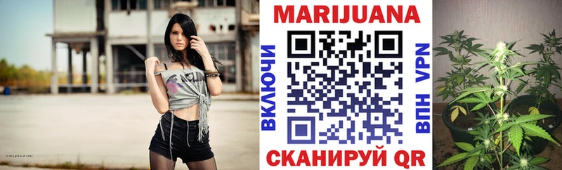 Бошки Шишки VHQ Сыктывкар